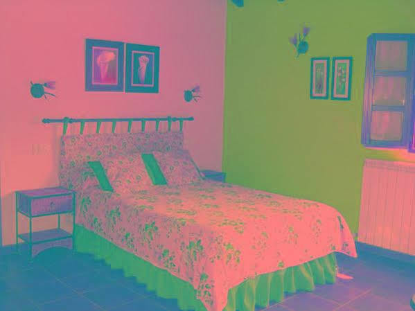 El Chisco Hotel San Cosme Luaran gambar